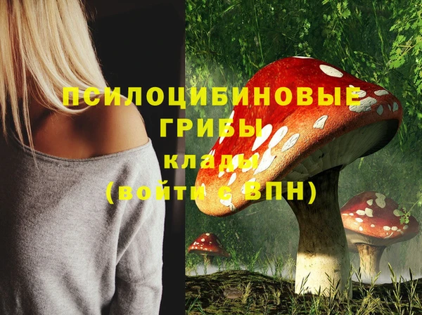 ешки Алексин