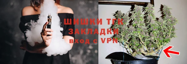 spice Дубна