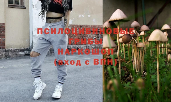 PSILOCYBIN Абдулино