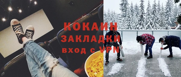 ешки Алексин