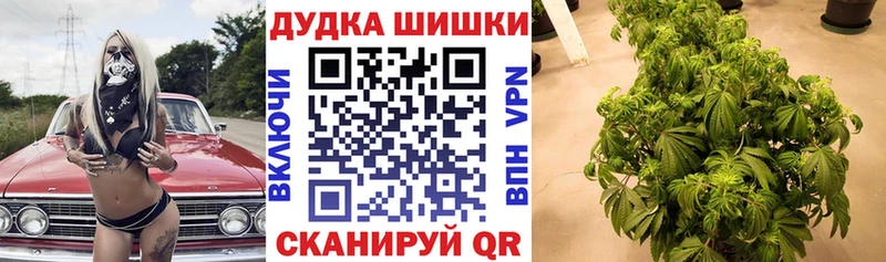 Шишки марихуана тримм  гидра   Кедровый 